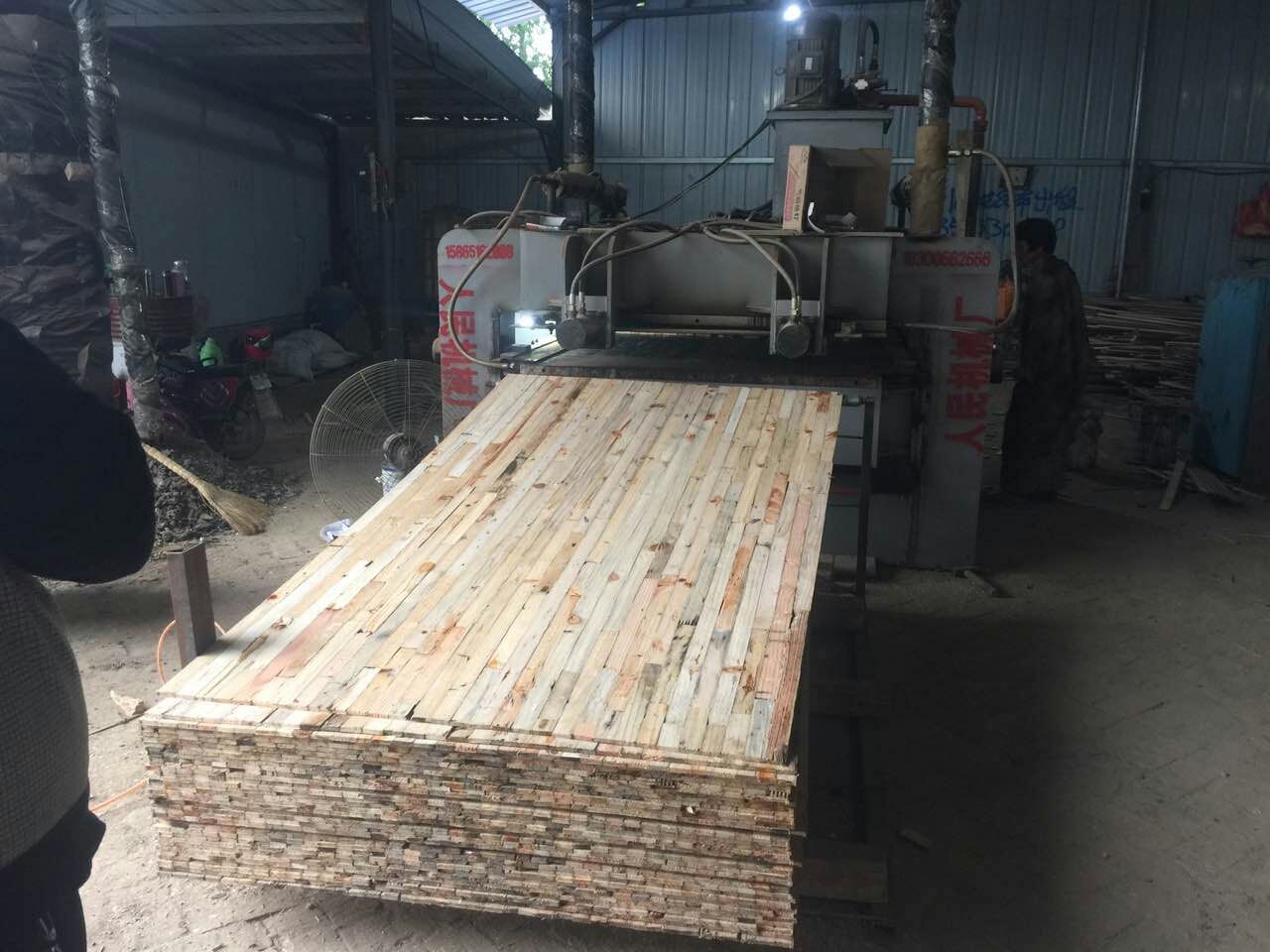 深夜福利视频在线